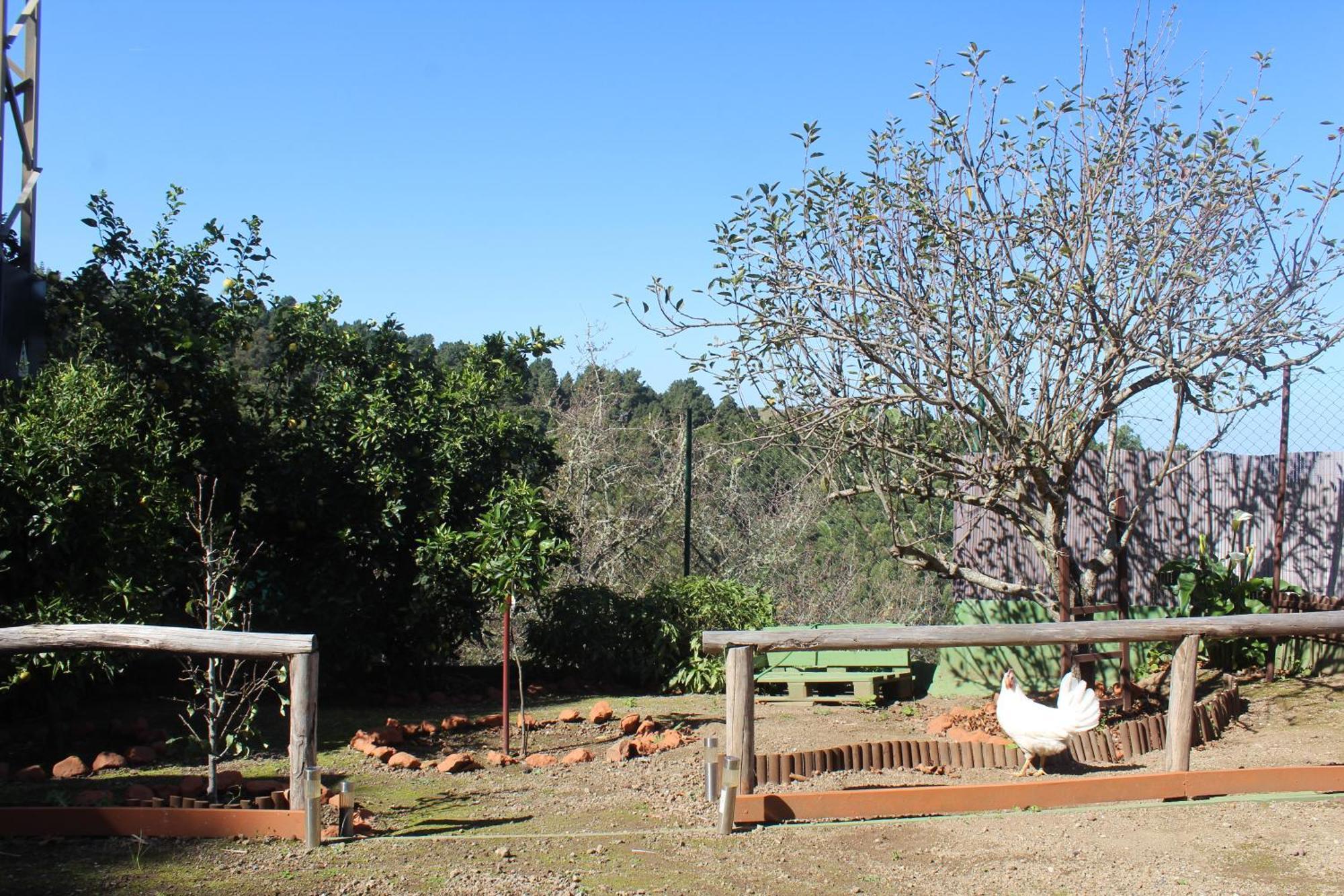 Finca Esther Las Palmas Buitenkant foto